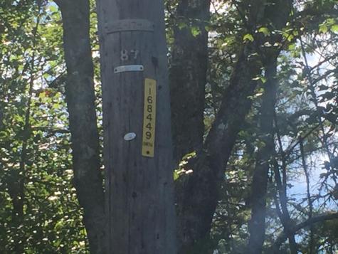 Lot 3-2 Milbridge Road Cherryfield ME 04622