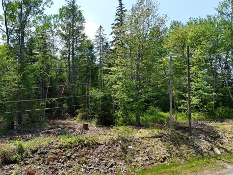 Lot 3-2 Milbridge Road Cherryfield ME 04622