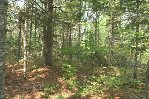 Lot 3-2 Milbridge Road Cherryfield ME 04622
