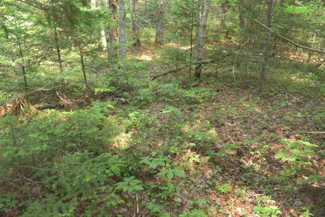 Lot 3-2 Milbridge Road Cherryfield ME 04622