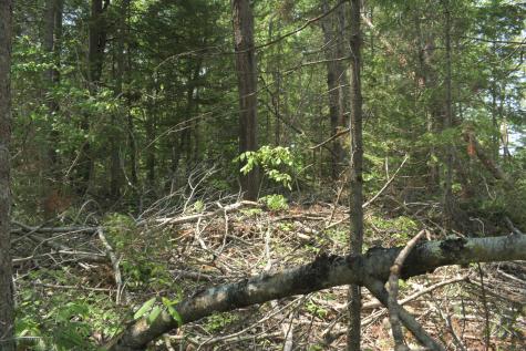 Lot 3-2 Milbridge Road Cherryfield ME 04622