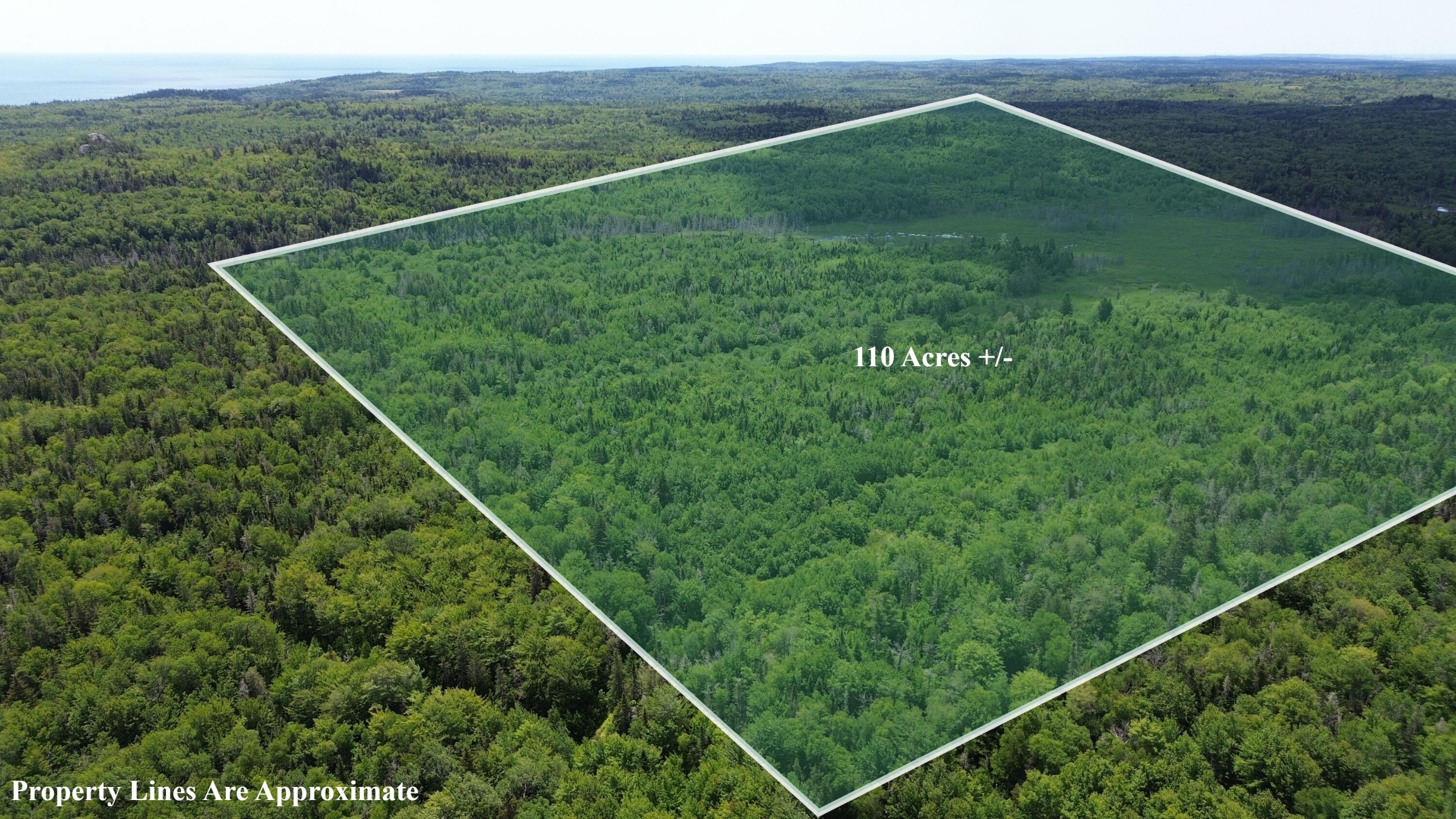 Map Wa032 Plan 02 - Lot 19 Trescott Twp ME 04652