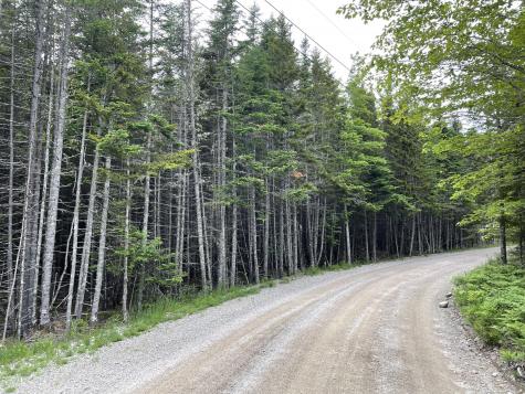 Lot 19 High Head Road East Machias ME 04630