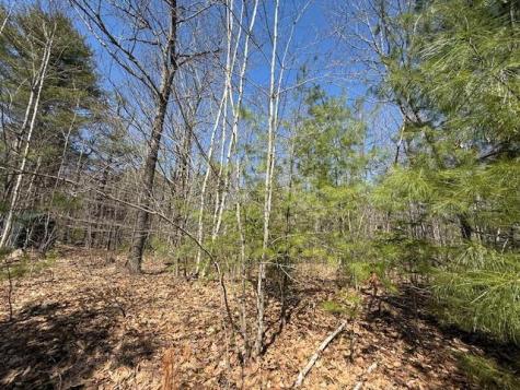 M10, L71 Logan Ridge Road Chelsea ME 04330