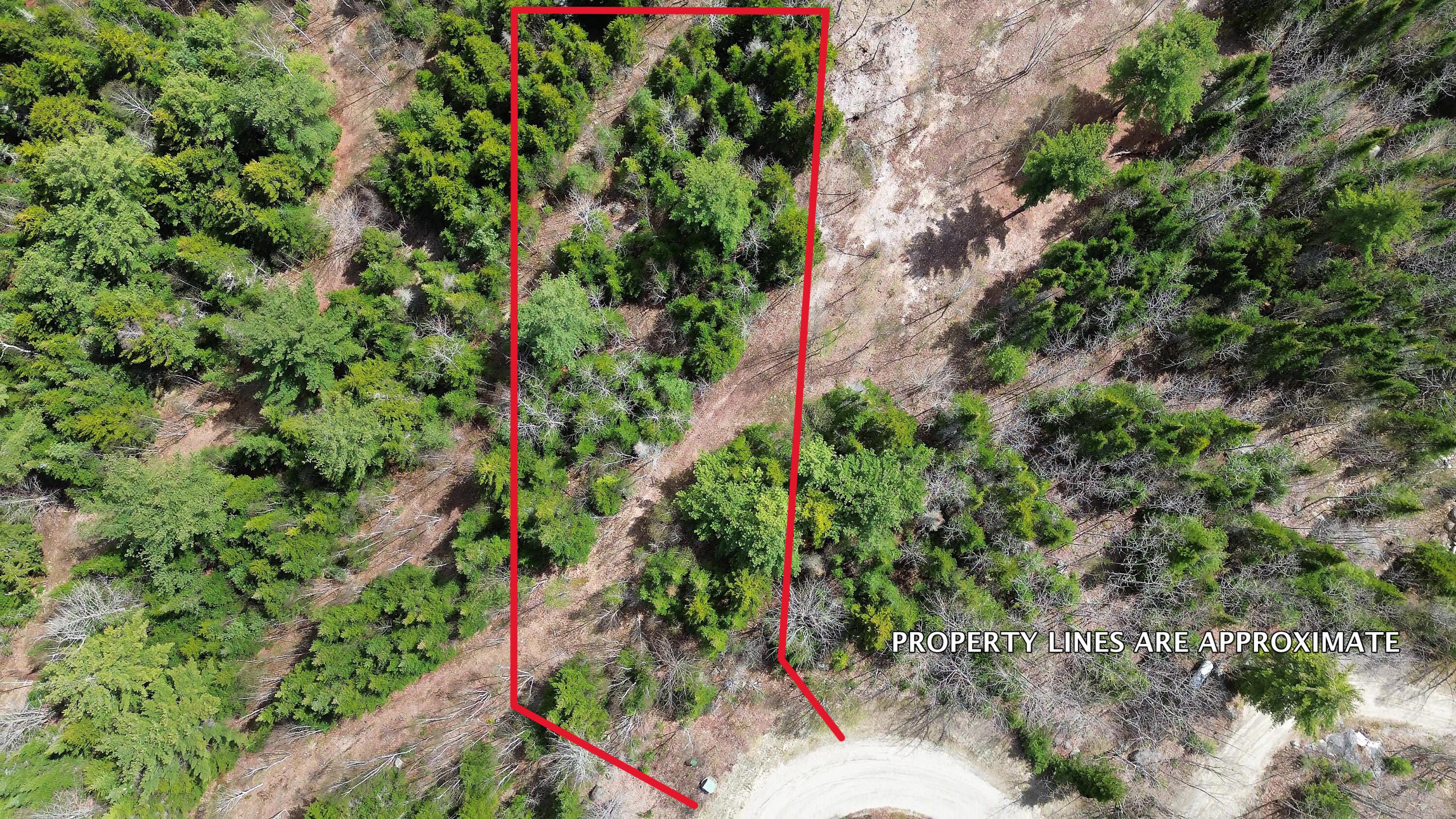 Lot 11 Bailey Mountain Road Franklin ME 04634
