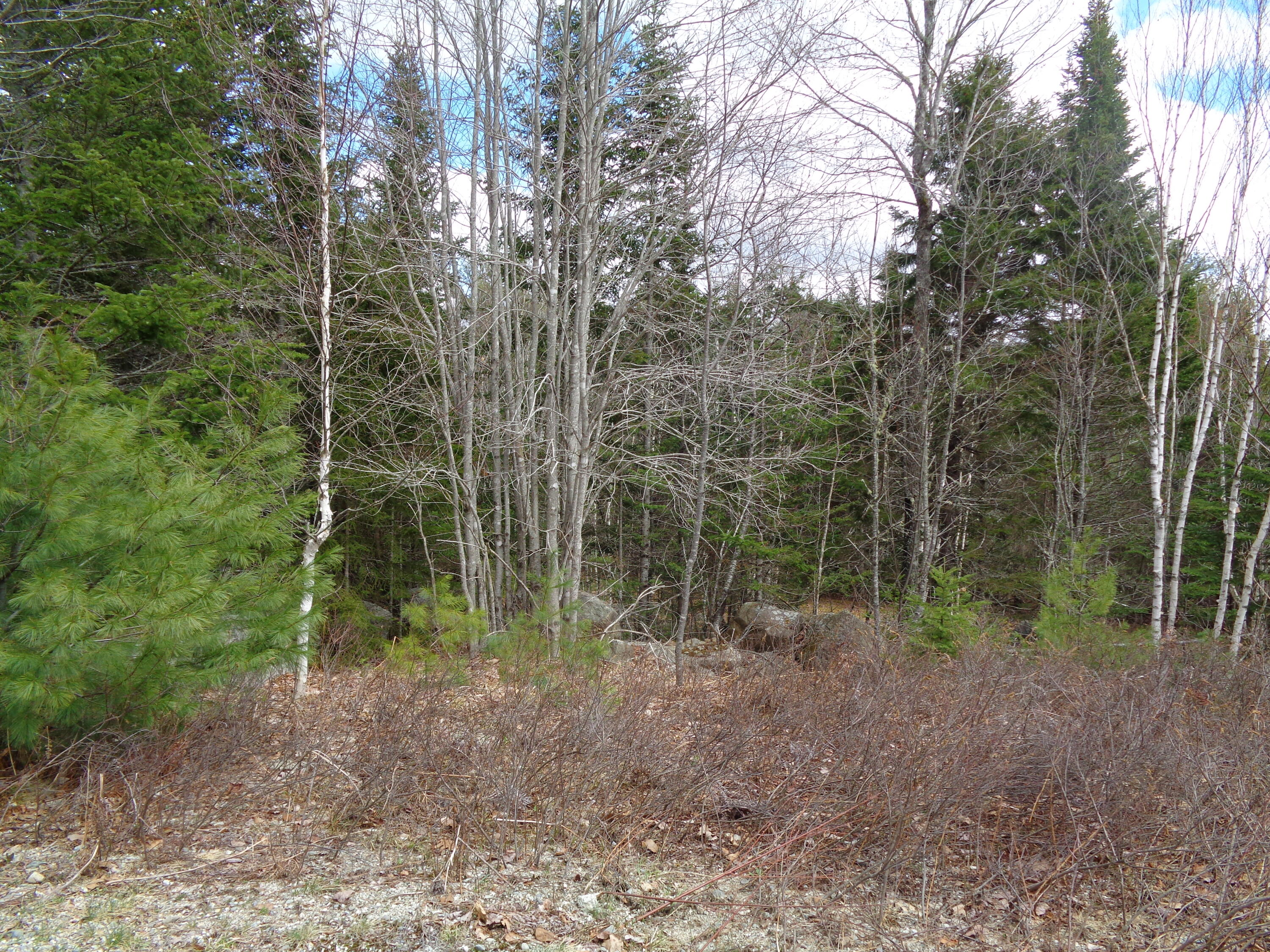 Lot 11 Bailey Mountain Road Franklin ME 04634