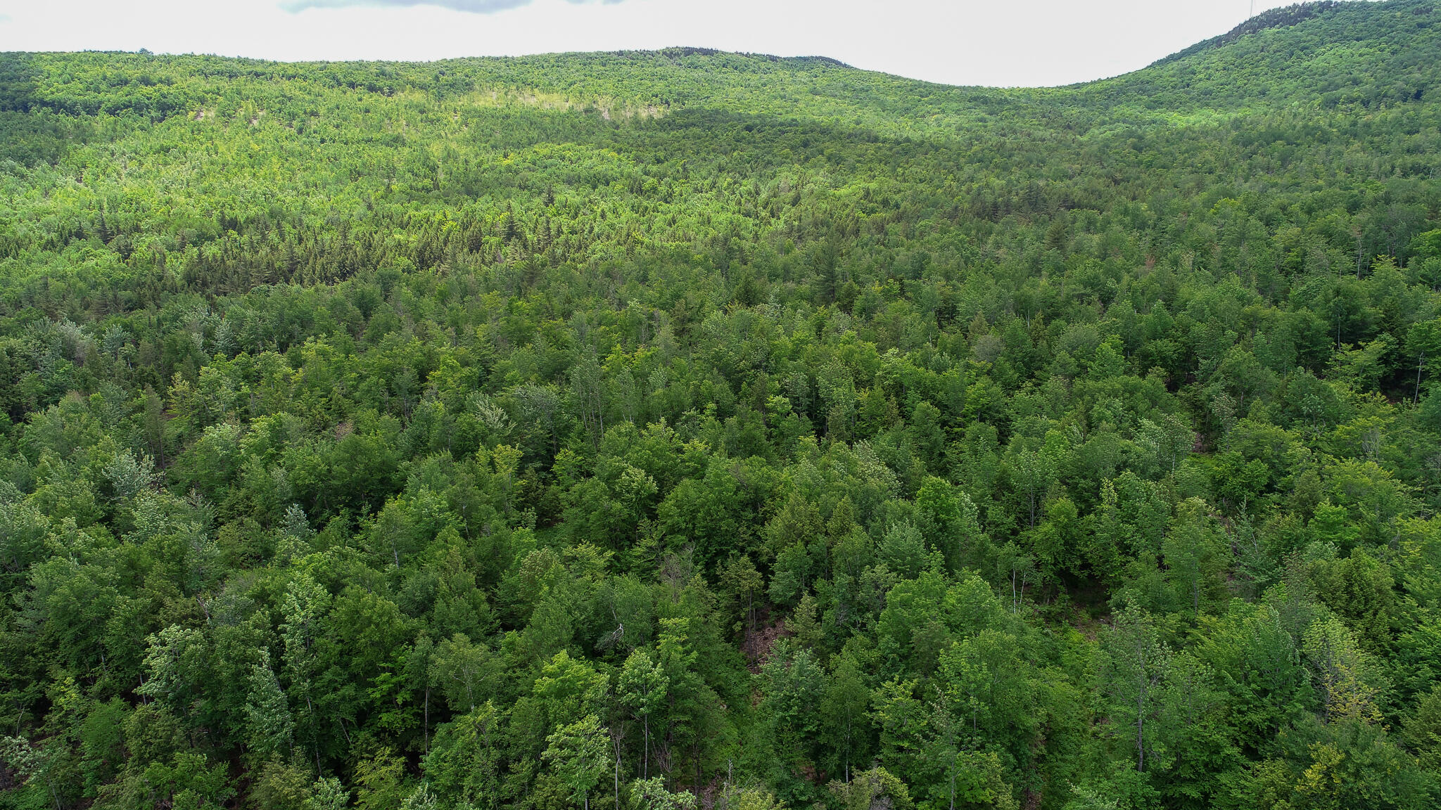 Map 7 Lot 3 Route 120 Mexico ME 04257