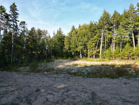 153 Pine Cone Trail Lakeville ME 04487