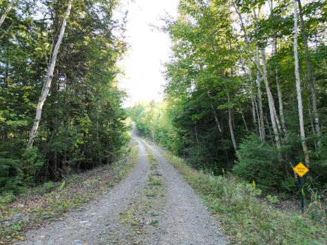 153 Pine Cone Trail Lakeville ME 04487