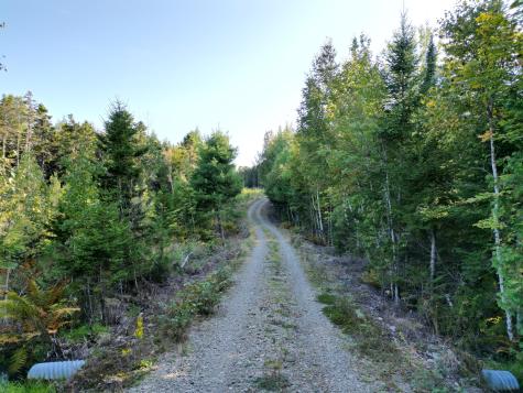 153 Pine Cone Trail Lakeville ME 04487