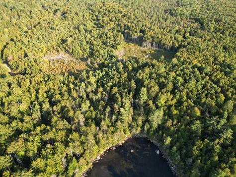 153 Pine Cone Trail Lakeville ME 04487