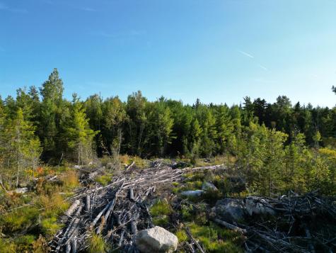 153 Pine Cone Trail Lakeville ME 04487