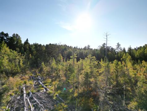 153 Pine Cone Trail Lakeville ME 04487