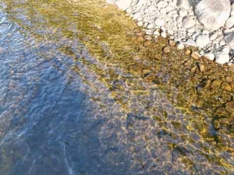 153 Pine Cone Trail Lakeville ME 04487