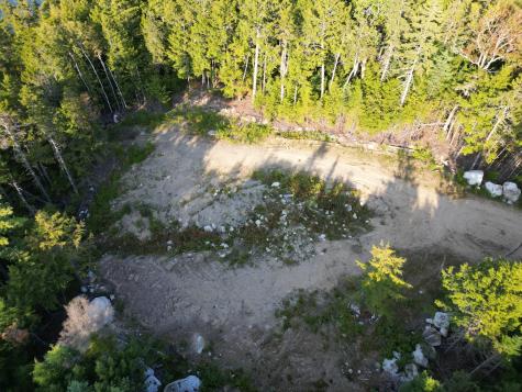 153 Pine Cone Trail Lakeville ME 04487