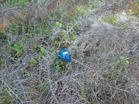 153 Pine Cone Trail Lakeville ME 04487