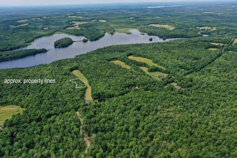 M5 L24 Goosepecker Ridge Montville ME 04941