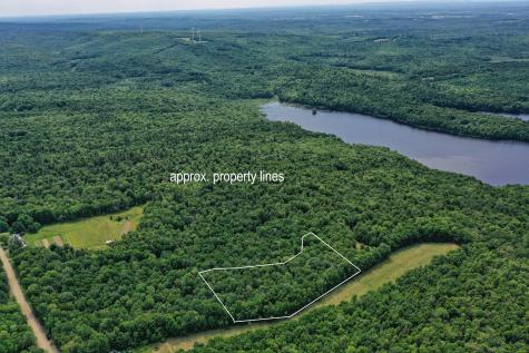 M5 L24 Goosepecker Ridge Montville ME 04941