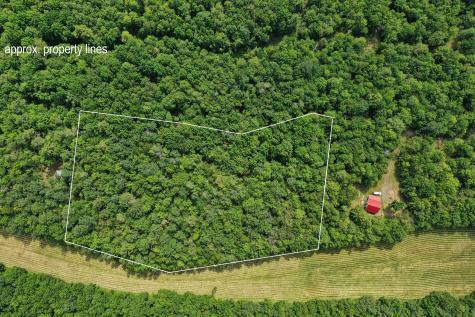 M5 L24 Goosepecker Ridge Montville ME 04941