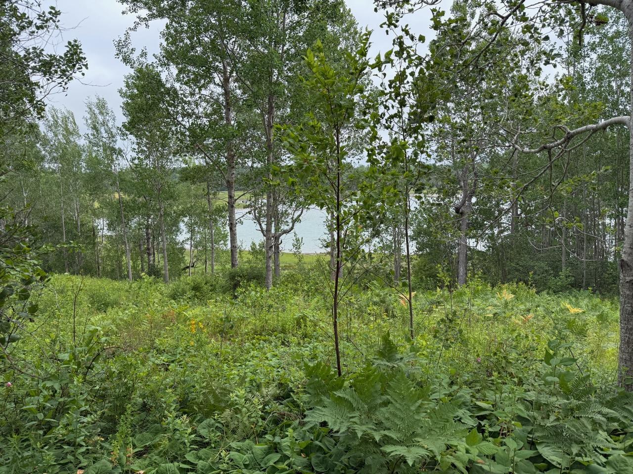 M10l200-1 Off Lyons Road Lubec ME 04652