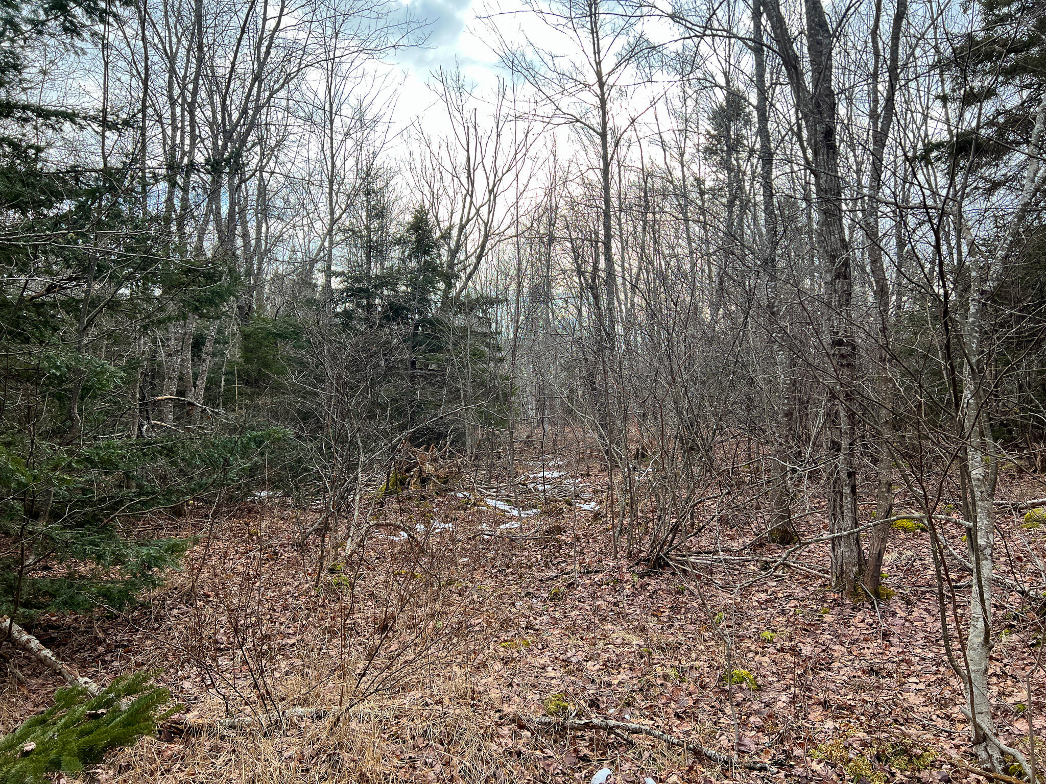 M4 L117 SW Creek Road Jonesport ME 04649