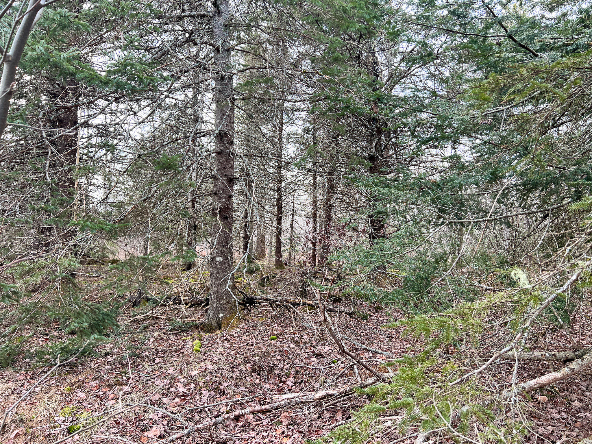 M4 L117 SW Creek Road Jonesport ME 04649