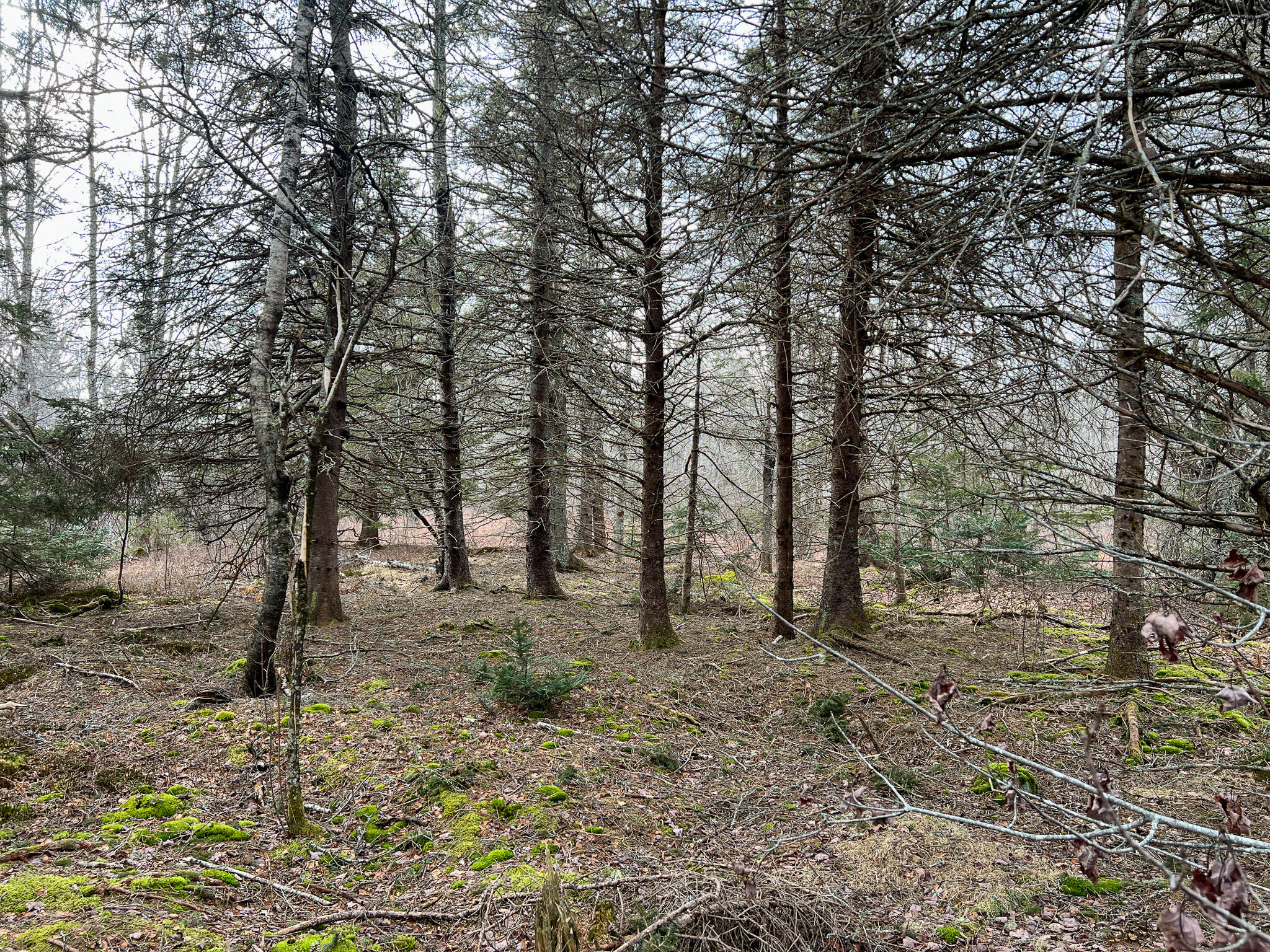 M4 L117 SW Creek Road Jonesport ME 04649