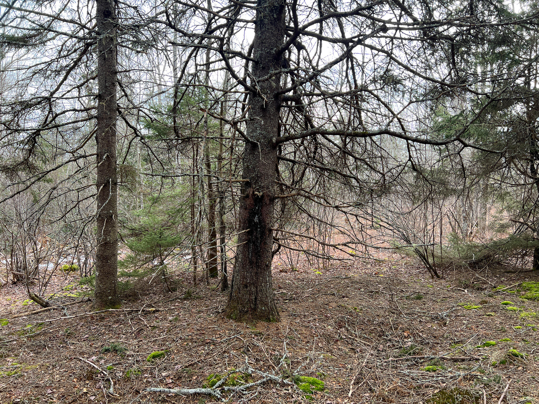 M4 L117 SW Creek Road Jonesport ME 04649