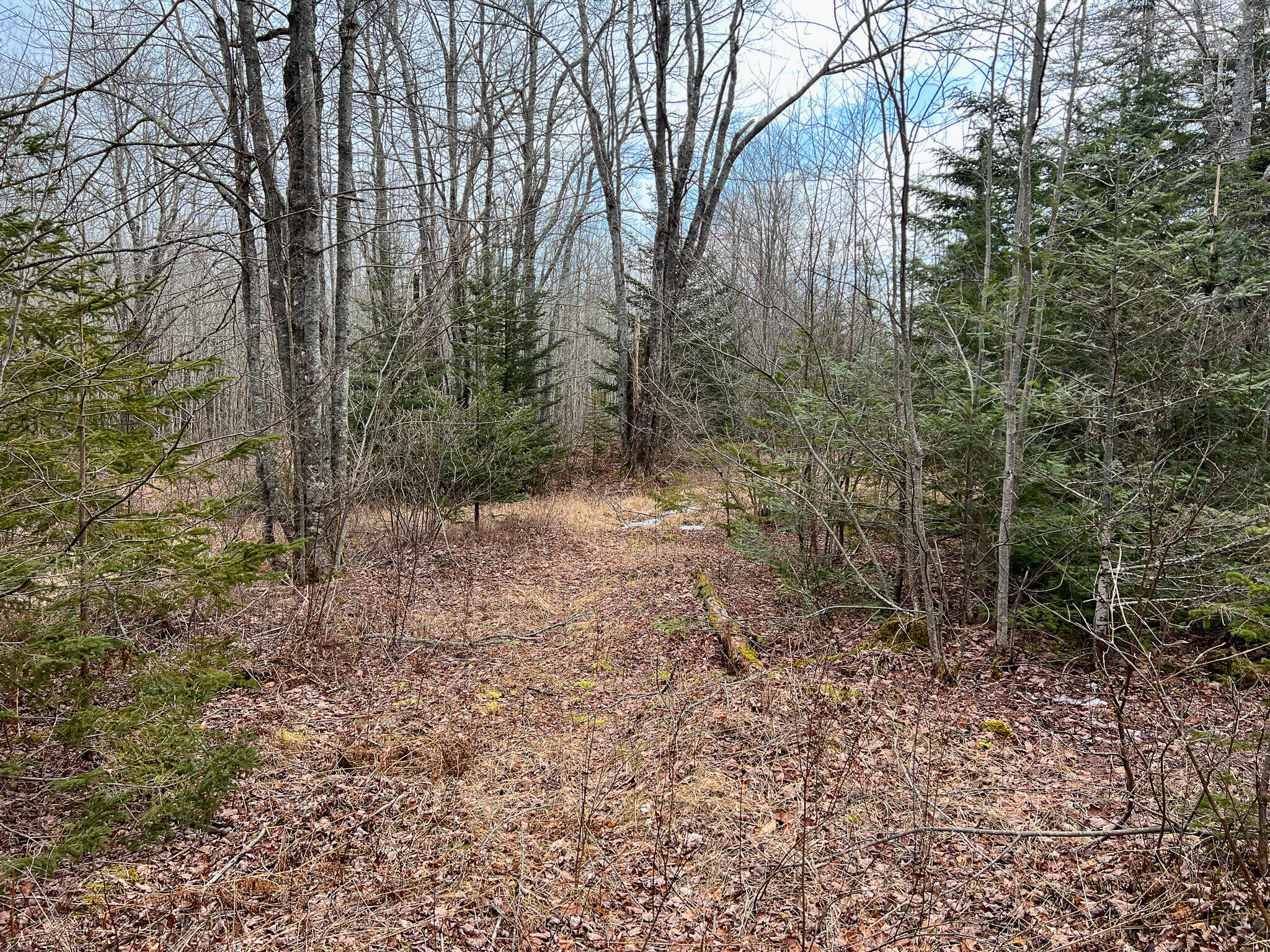 M4 L117 SW Creek Road Jonesport ME 04649