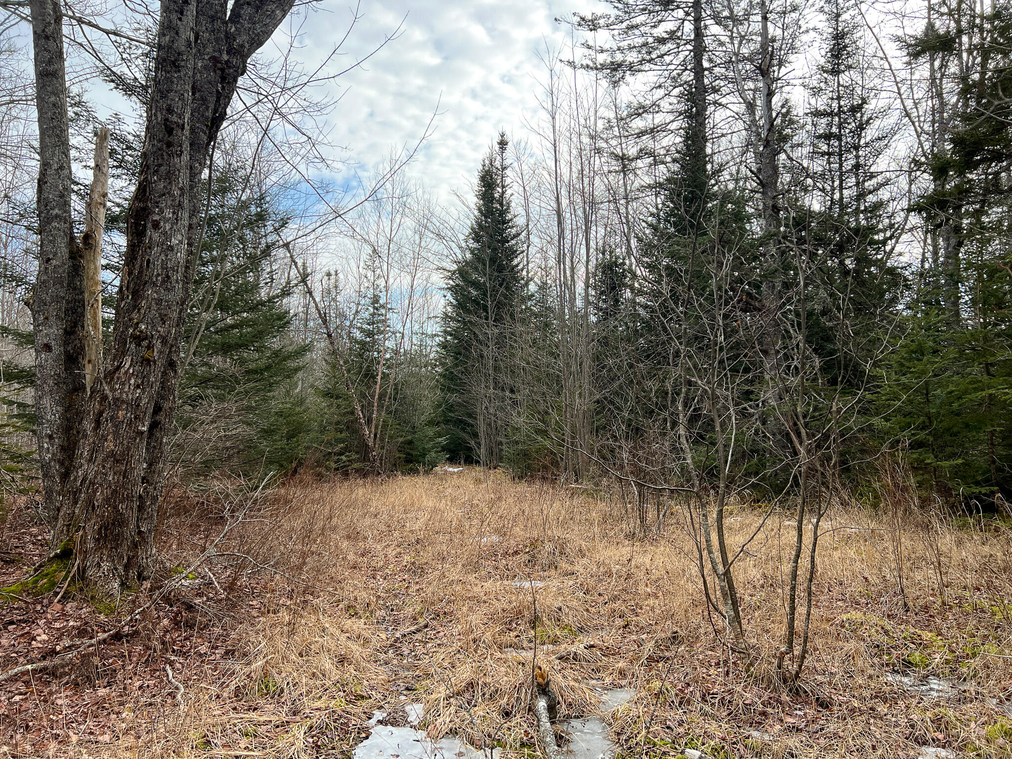 M4 L117 SW Creek Road Jonesport ME 04649