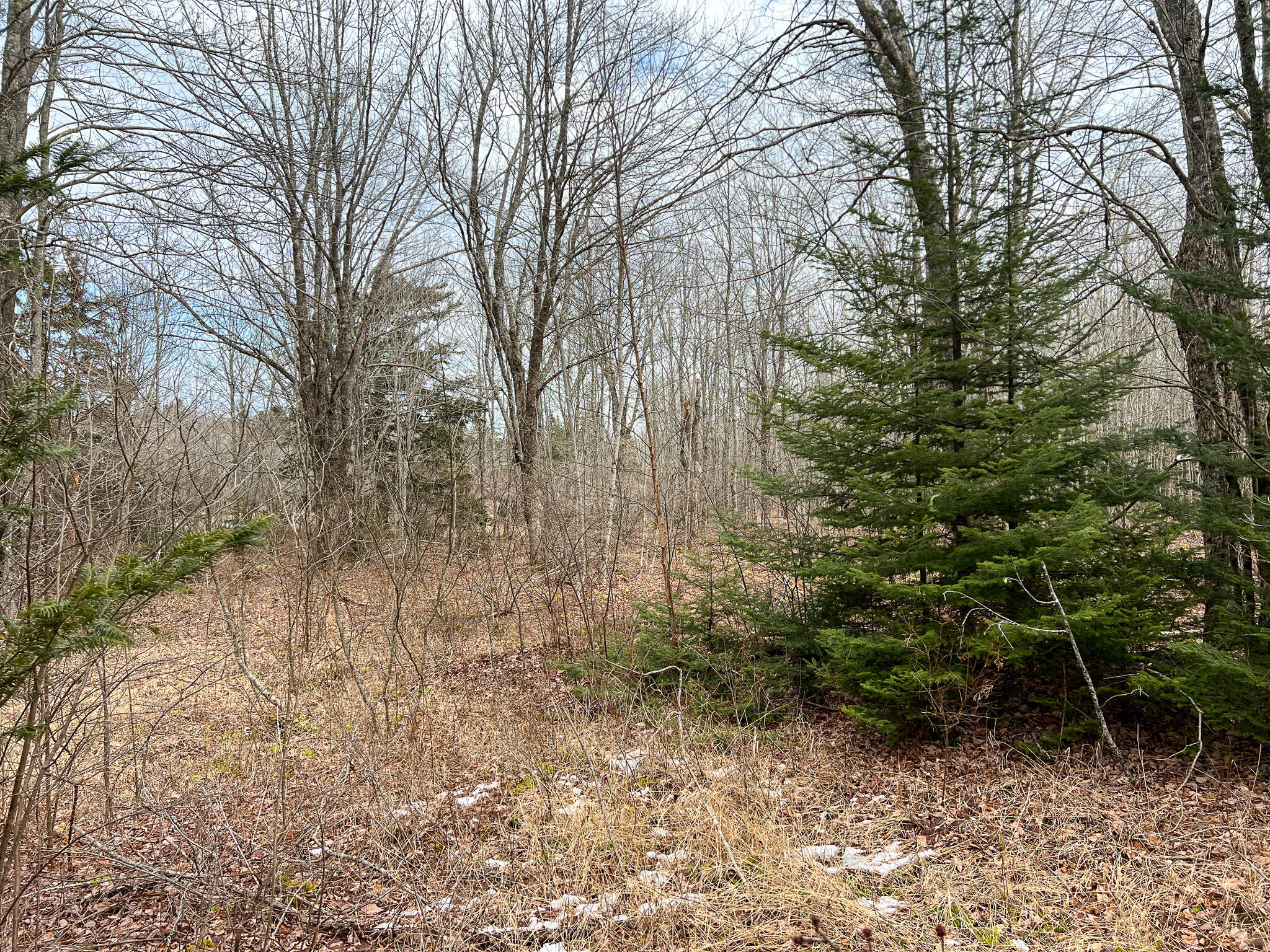 M4 L117 SW Creek Road Jonesport ME 04649