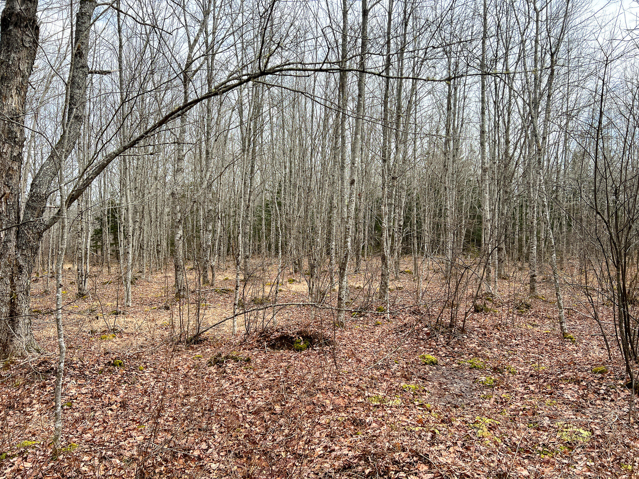 M4 L117 SW Creek Road Jonesport ME 04649