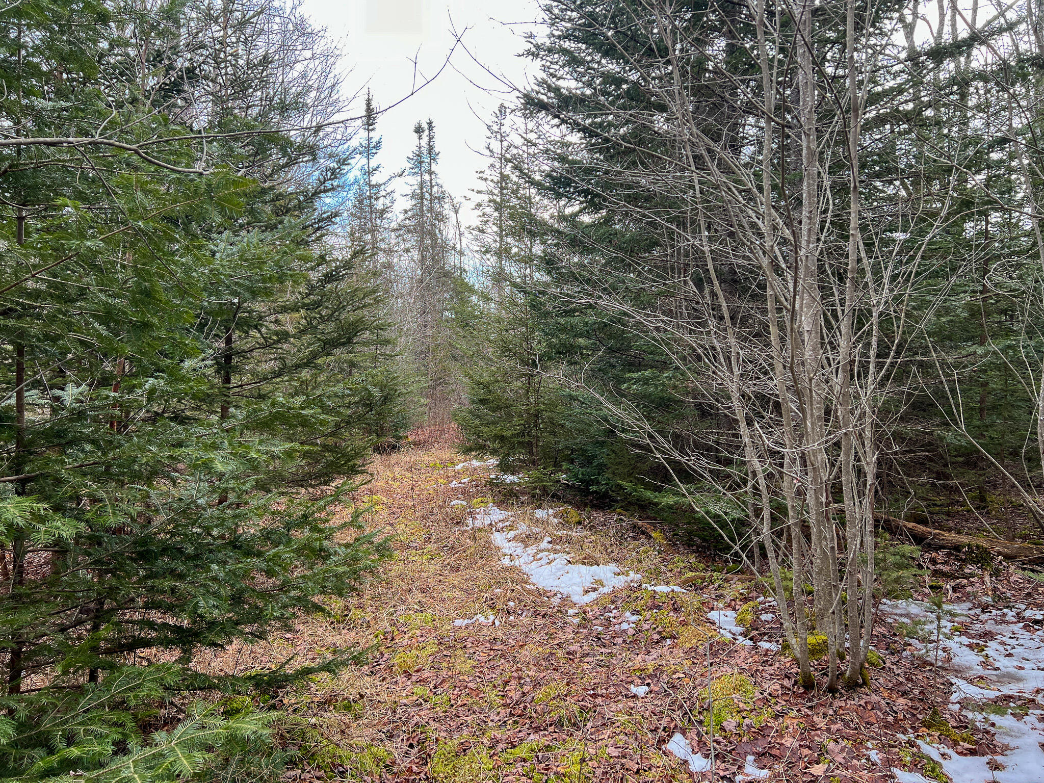 M4 L117 SW Creek Road Jonesport ME 04649