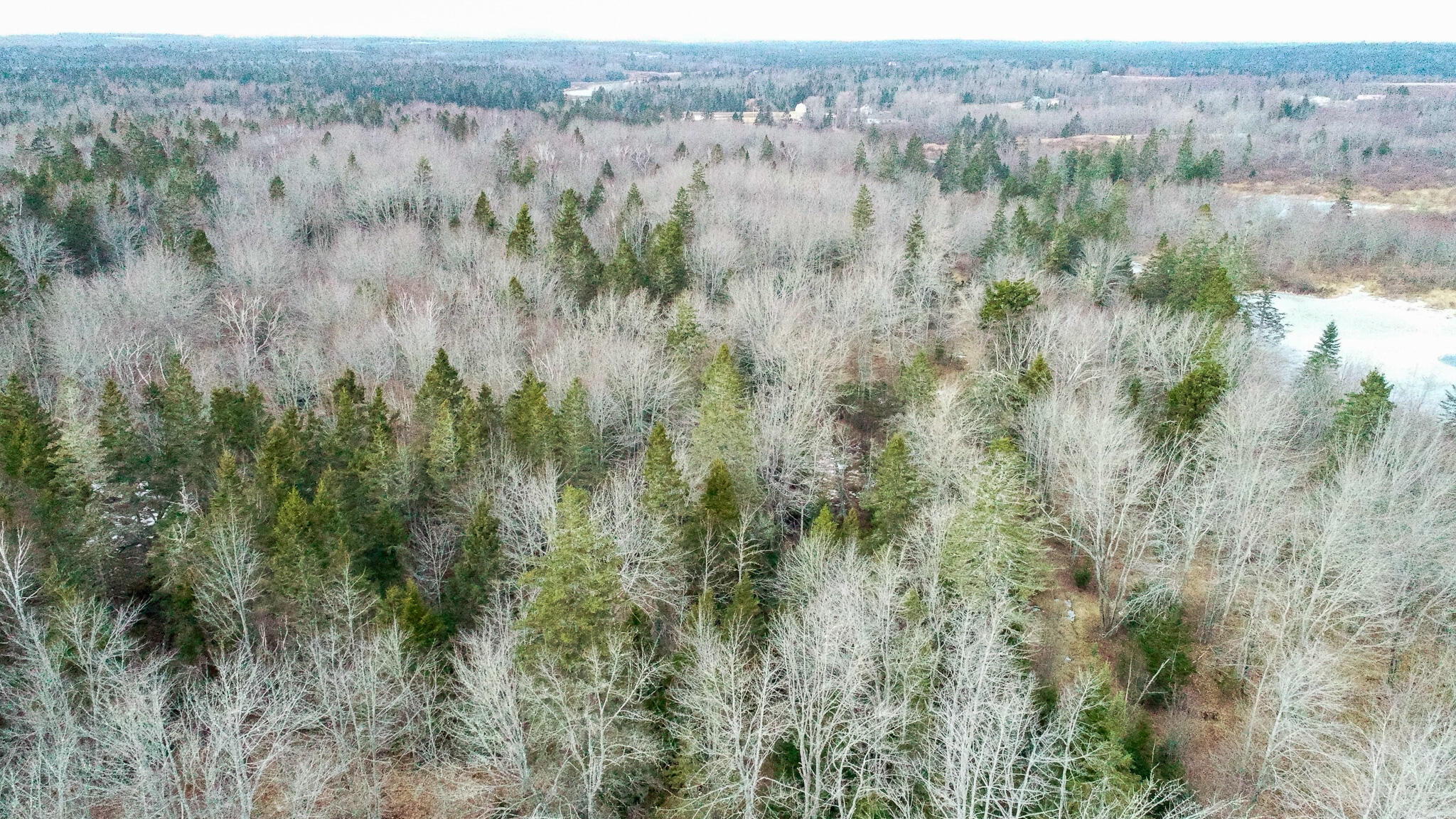 M4 L117 SW Creek Road Jonesport ME 04649