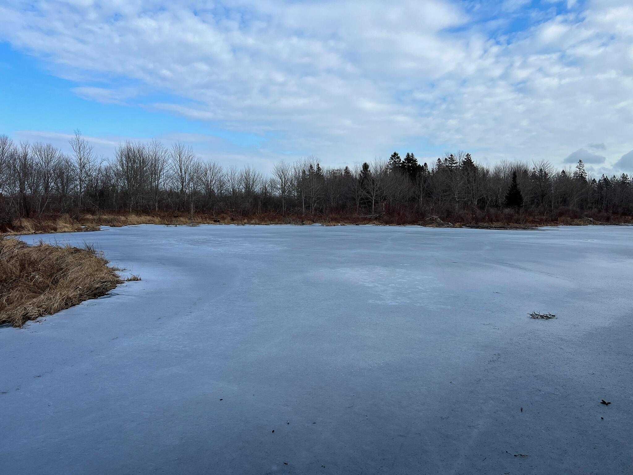 M4 L117 SW Creek Road Jonesport ME 04649