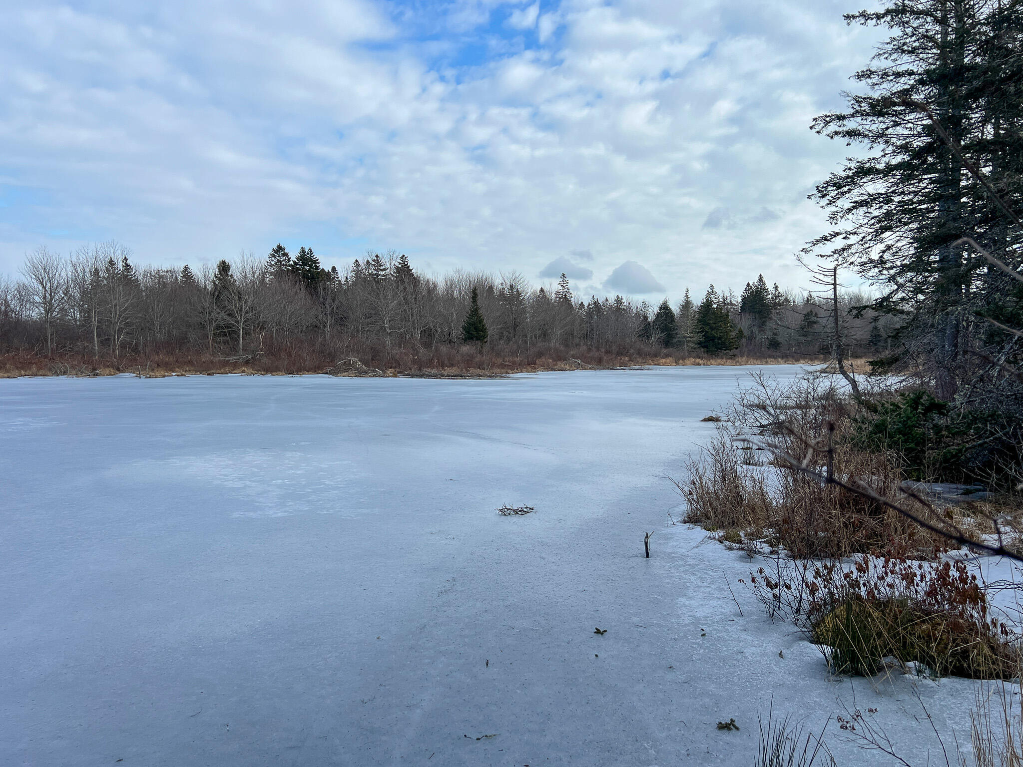 M4 L117 SW Creek Road Jonesport ME 04649