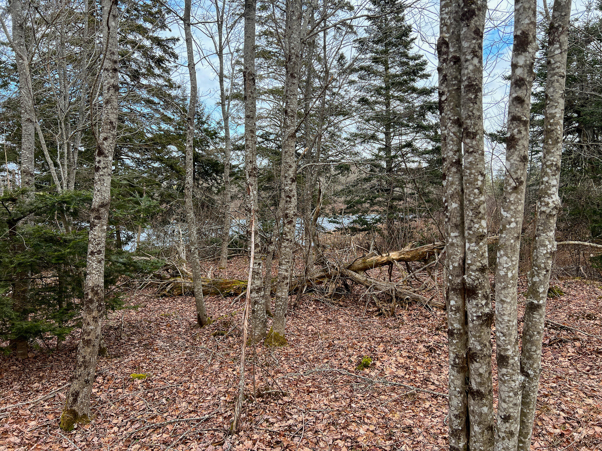 M4 L117 SW Creek Road Jonesport ME 04649