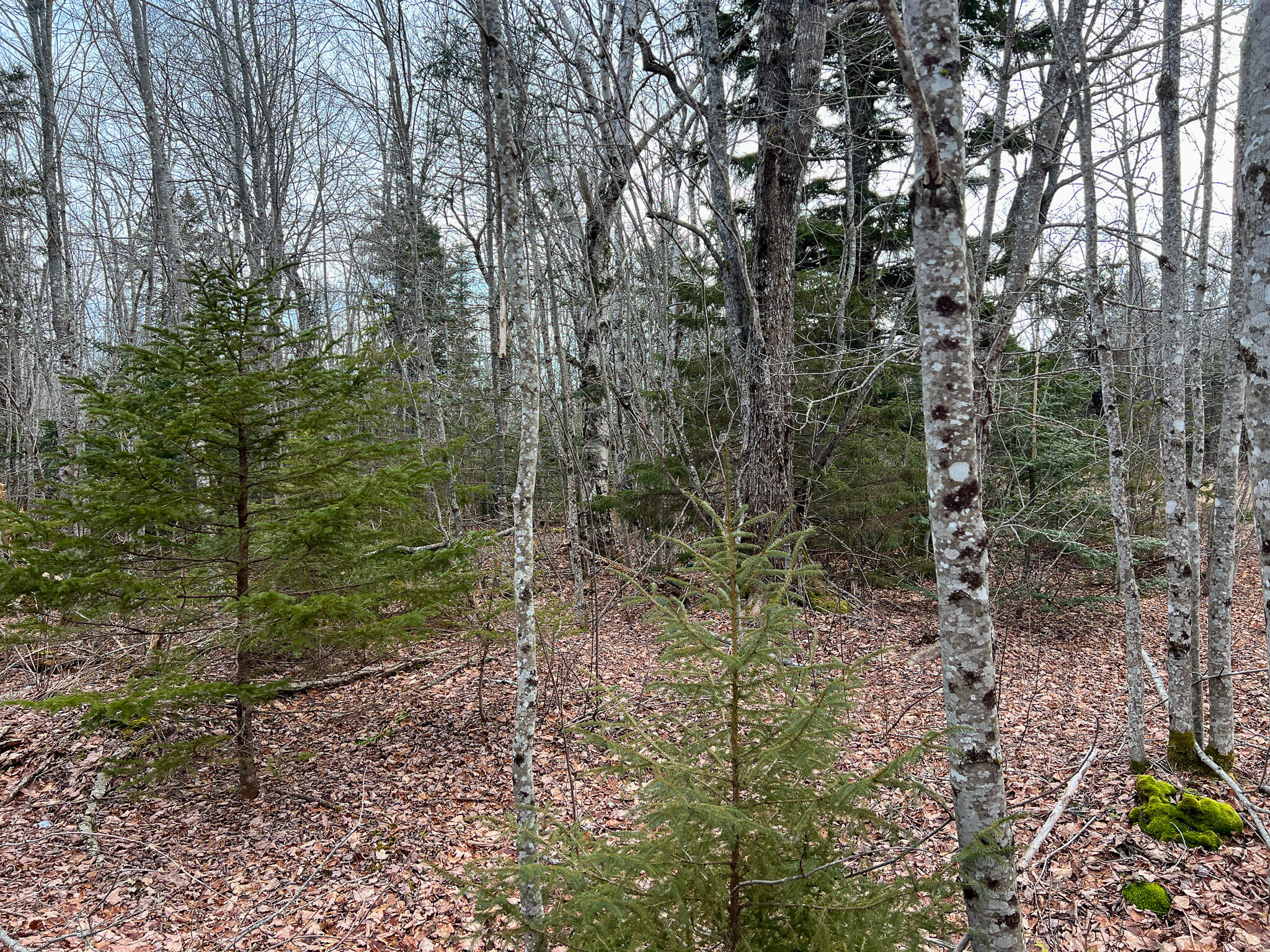 M4 L117 SW Creek Road Jonesport ME 04649