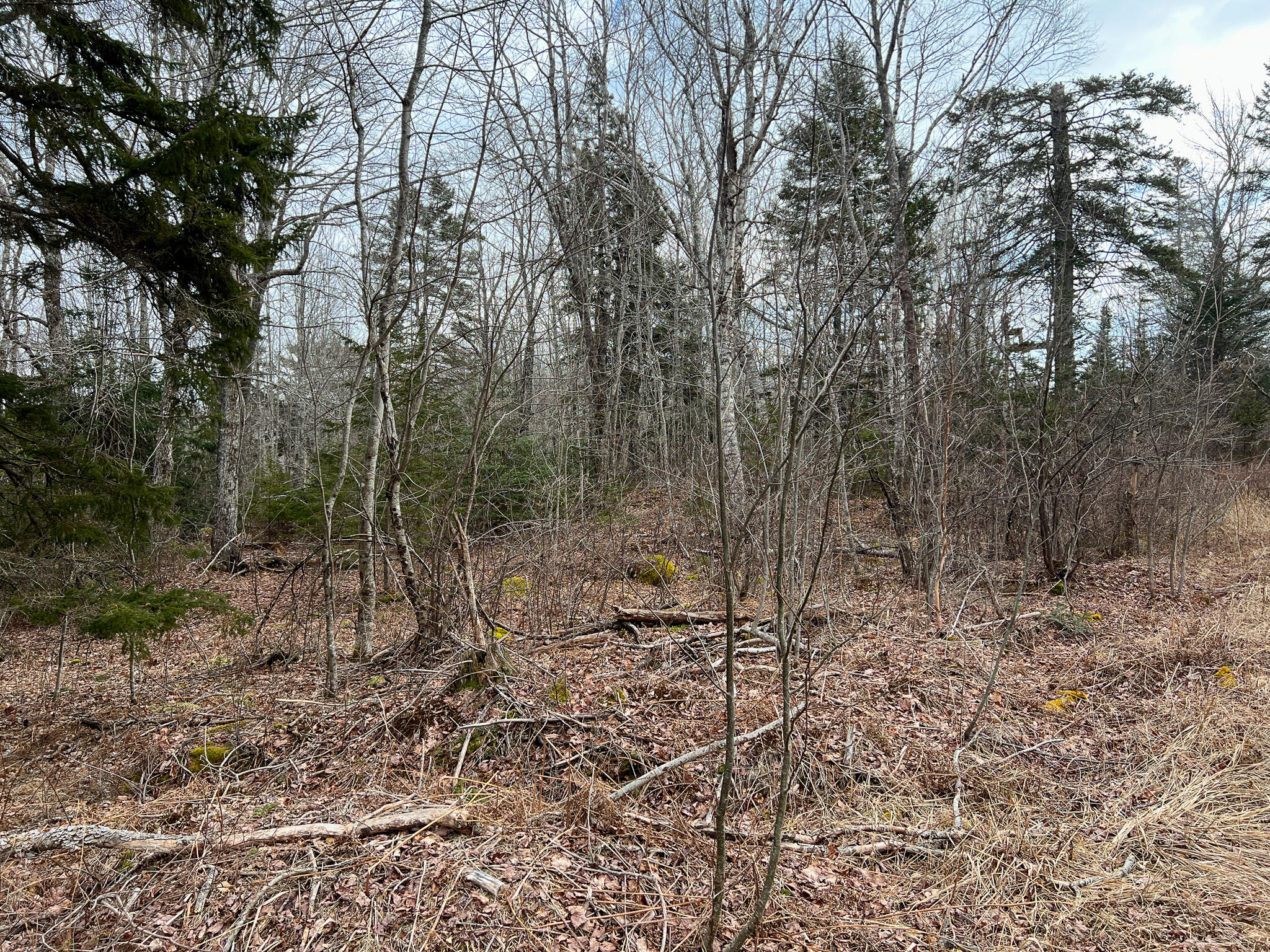 M4 L117 SW Creek Road Jonesport ME 04649