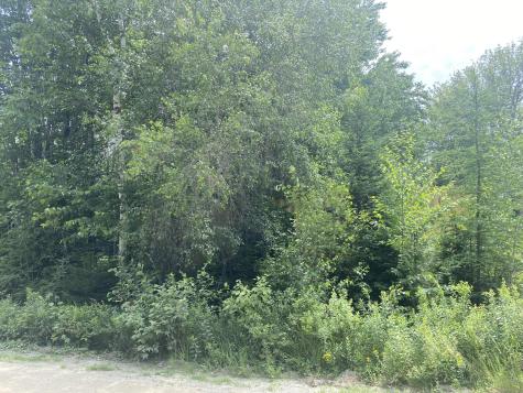 53 Woodland Drive Trenton ME 04605