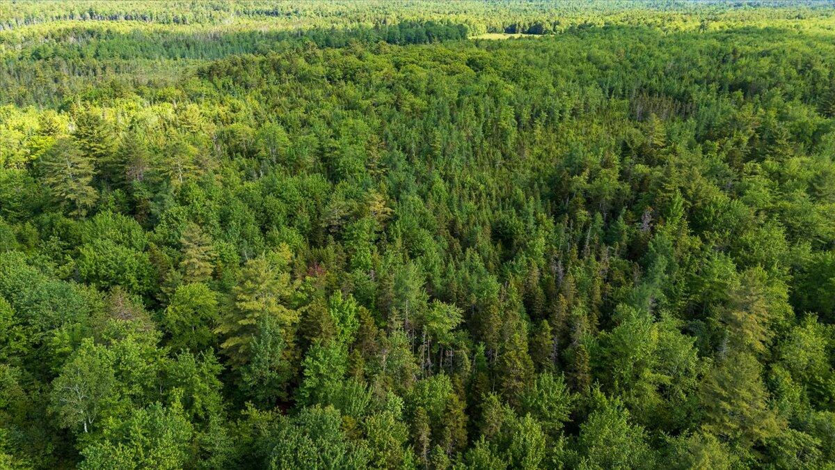 Map 7 Lot 8-1 Cushing Road, Westside Cushing ME 04563