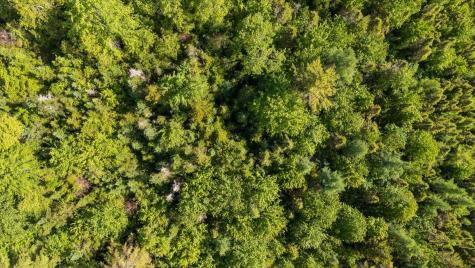 Map 7 Lot 8-1 Cushing Road, Westside Cushing ME 04563