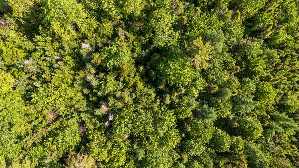 Map 7 Lot 8-1 Cushing Road, Westside Cushing ME 04563