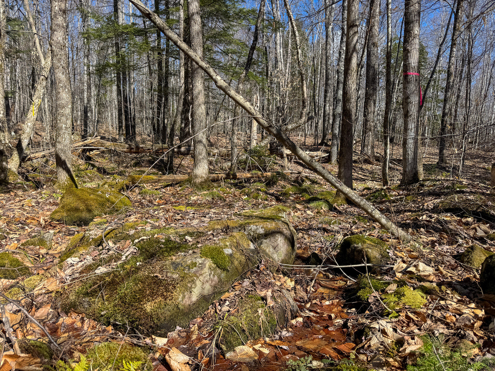 792 Valley Road Anson ME 04911