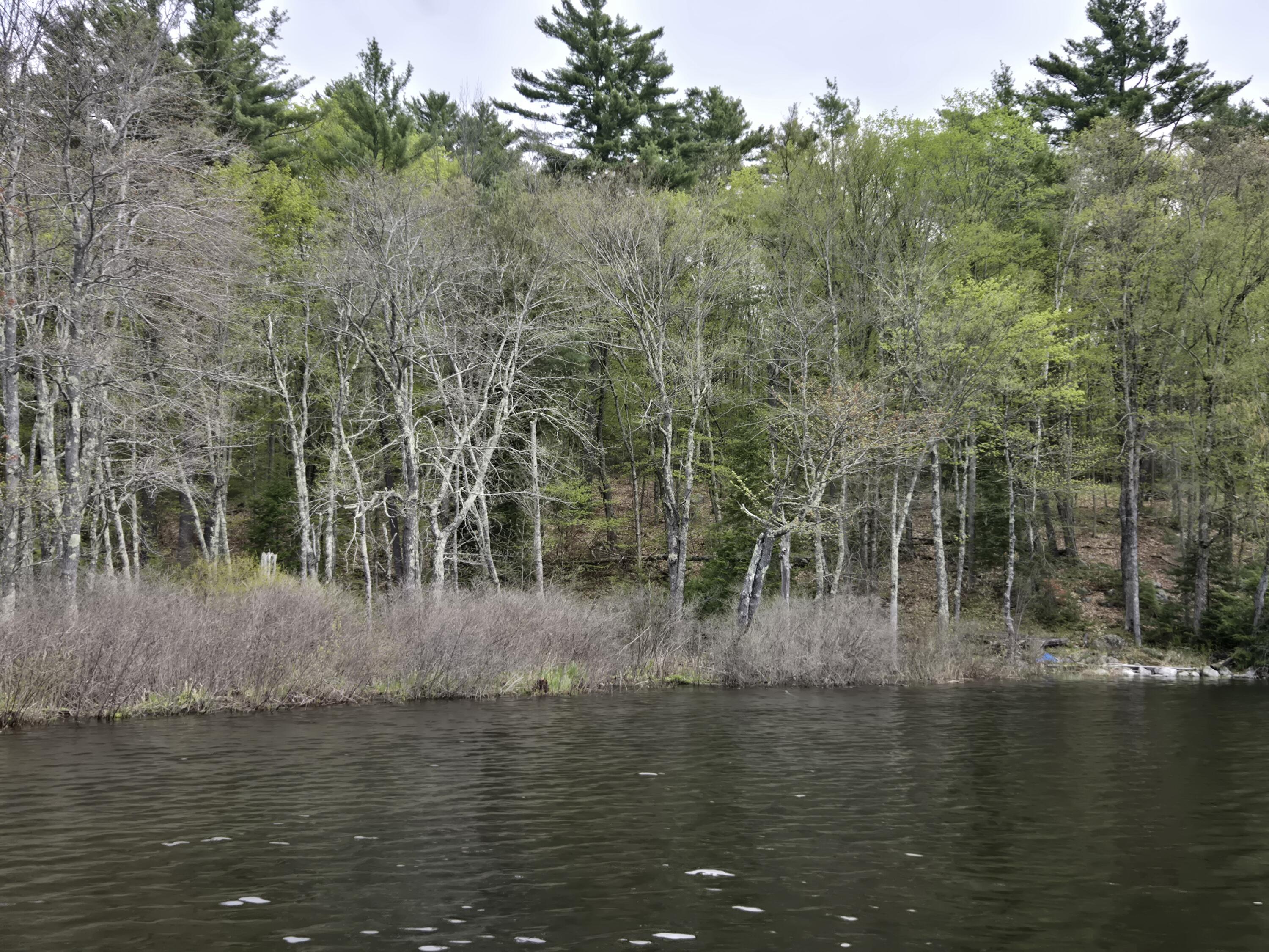 M7 L104-1 Lake George Canaan ME 04924