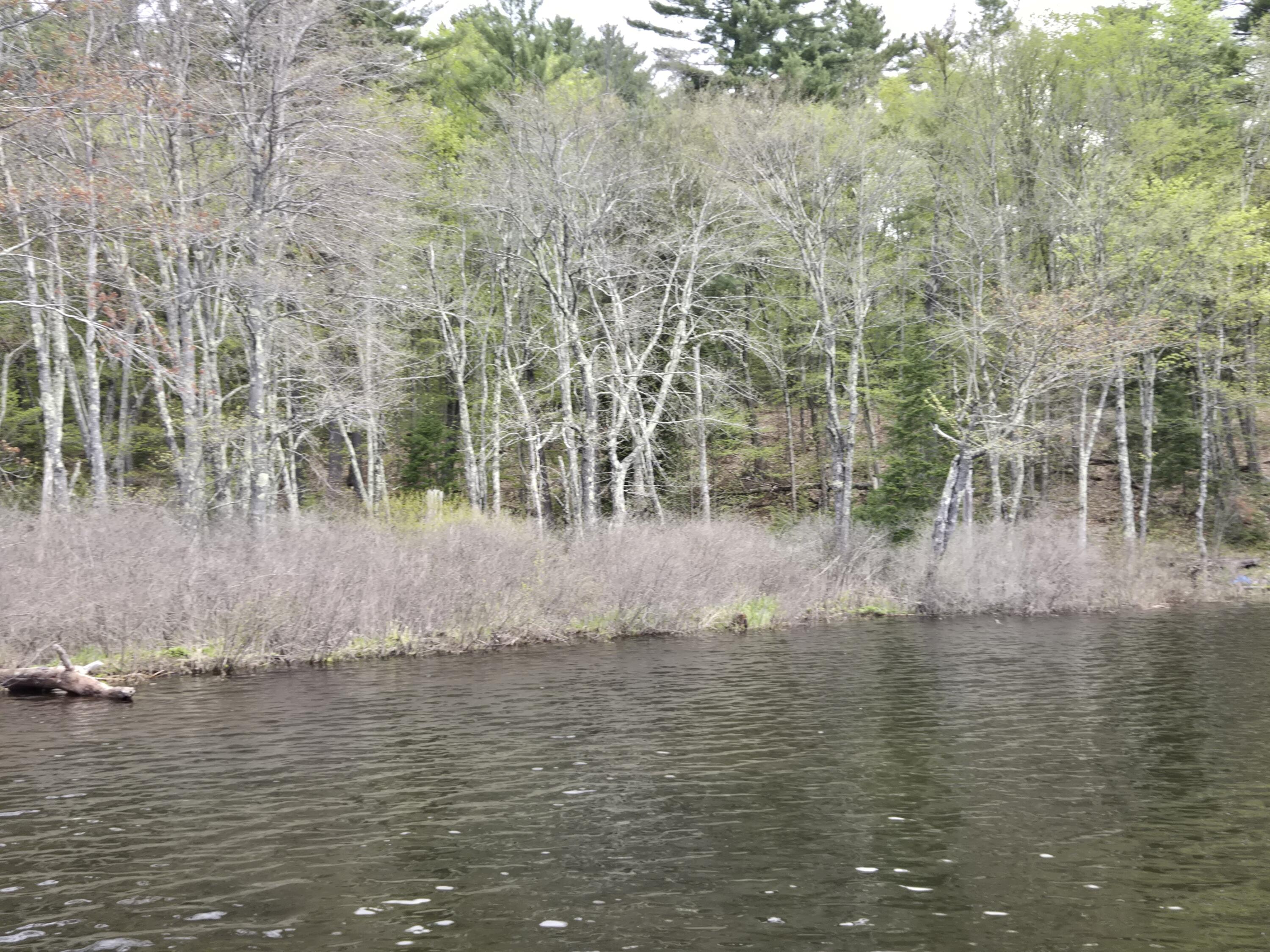 M7 L104-1 Lake George Canaan ME 04924