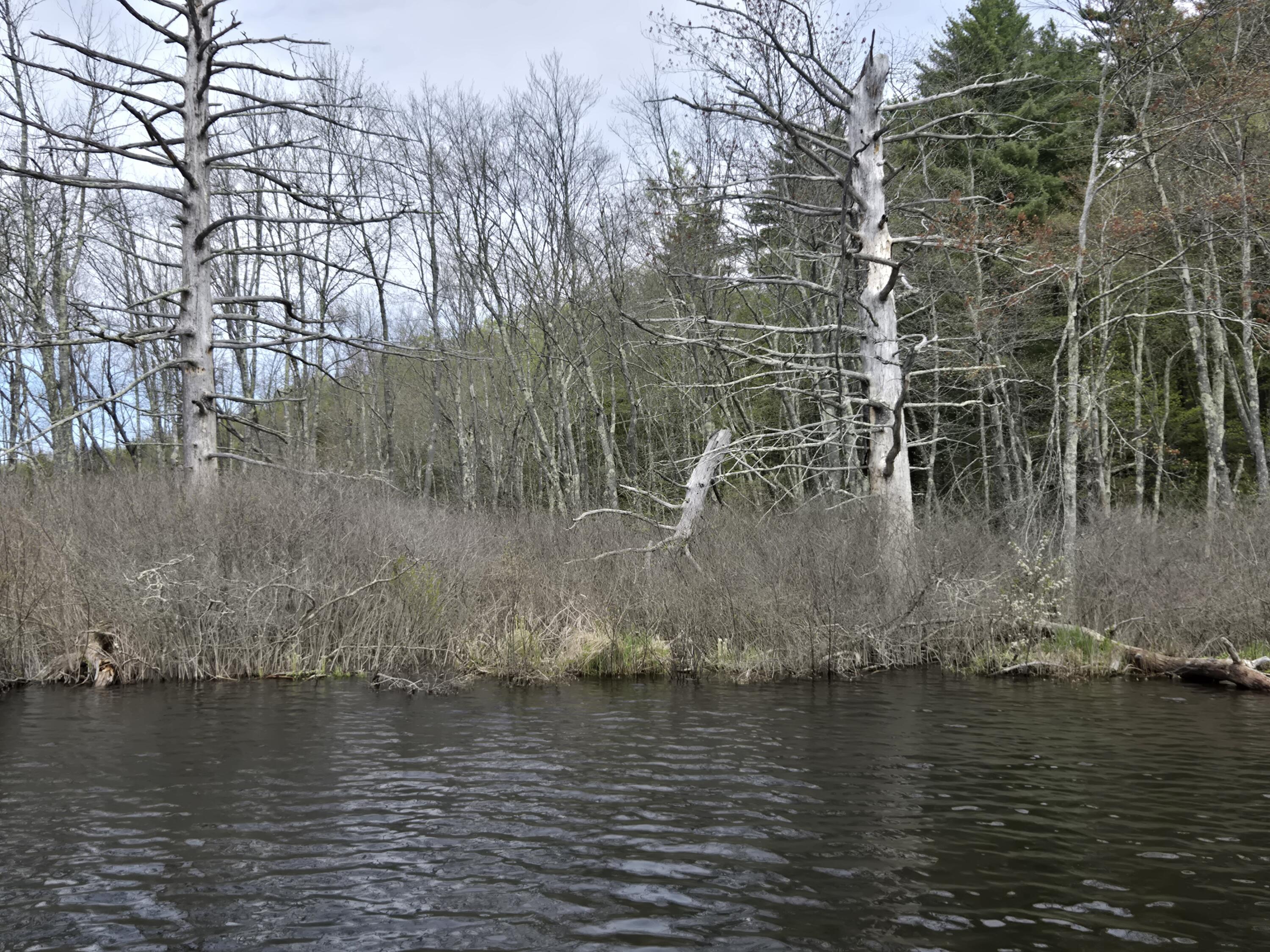 M7 L104-1 Lake George Canaan ME 04924