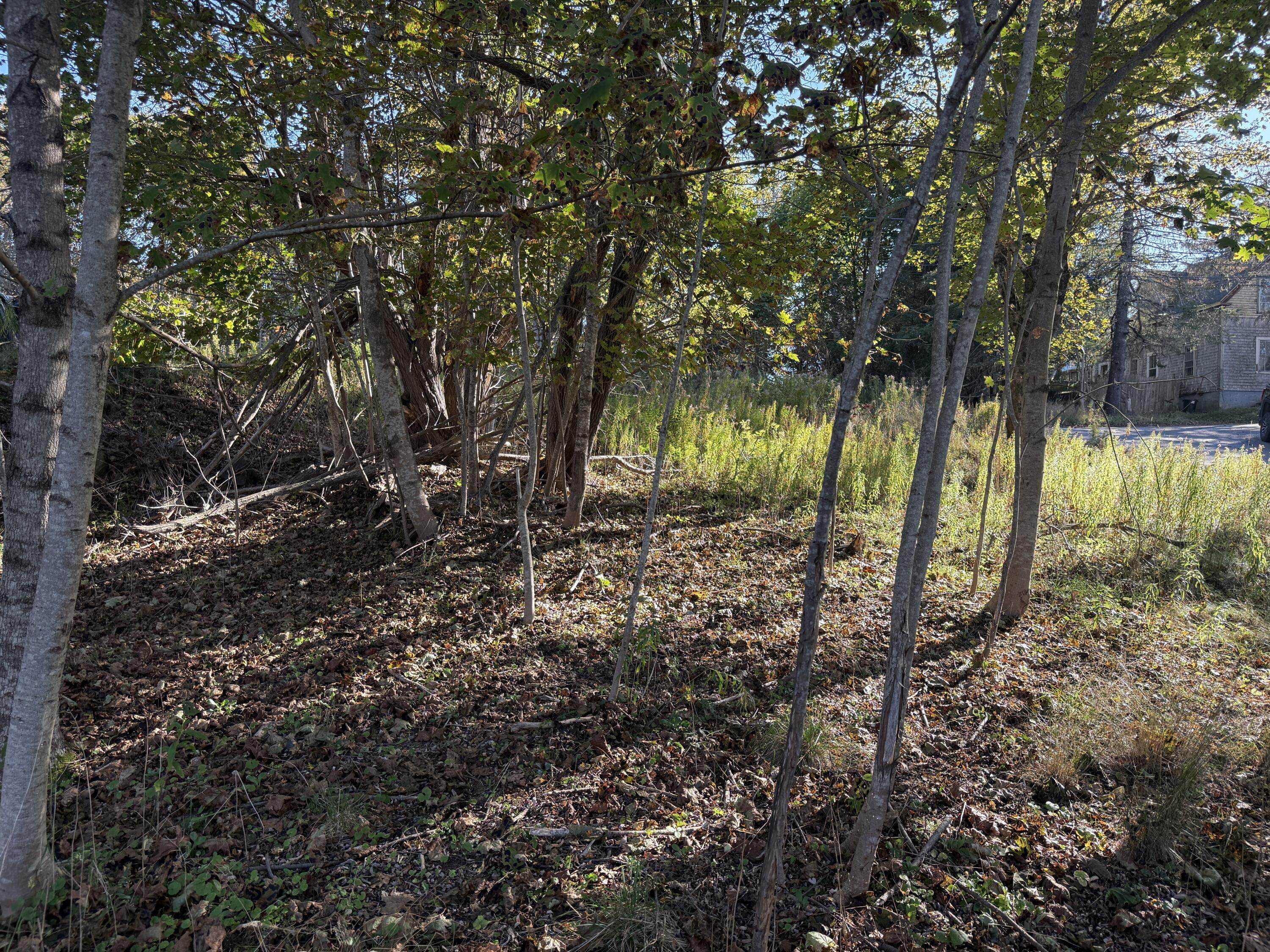 8 Spear Avenue Eastport ME 04631