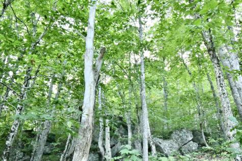 21, 21-2 Great Pond Road Great Pond ME 04408