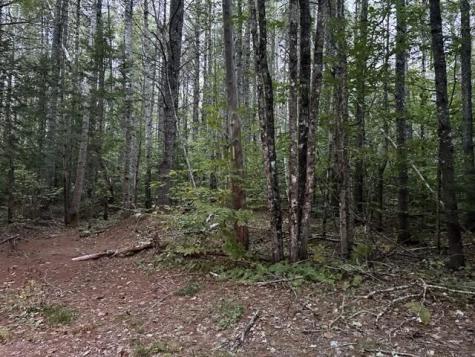 21, 21-2 Great Pond Road Great Pond ME 04408